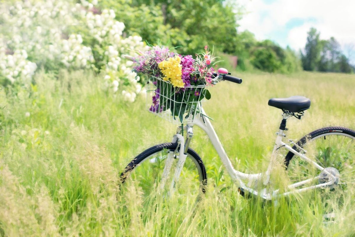 小学生 自転車